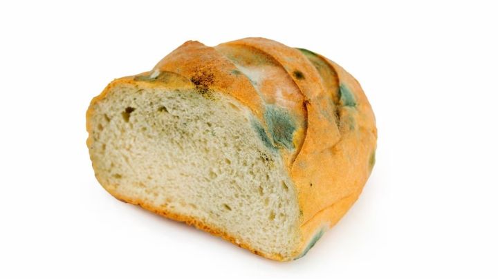 Mudança climática está estragando os alimentos mais rapidamente; veja como evitar