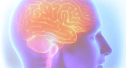 Recuperar memórias de mortos: nova fronteira da neurociência intriga especialistas