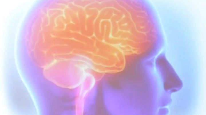 Recuperar memórias de mortos: nova fronteira da neurociência intriga especialistas