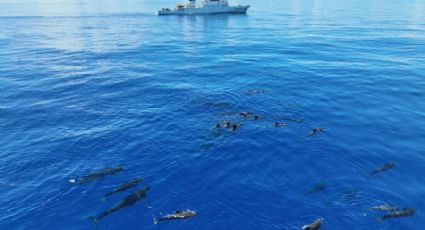 China constrói o primeiro 'microscópio' oceânico do mundo contra restrições dos EUA