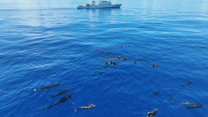 China constrói o primeiro 'microscópio' oceânico do mundo contra restrições dos EUA