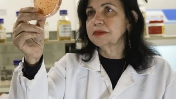 Brasileira ganha ‘Nobel de Agricultura’ por pesquisa que economizou R$ 127,5 bilhões em insumos