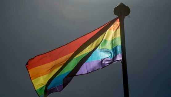 Por que a homossexualidade foi doença até 2022, mesmo após exclusão nos anos noventa