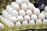 Foto ilustrativa de la nota titulada: Gripe aviária: ovos são descartados para evitar contágio