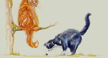 Por que existem gatos laranja? Ciência desvenda mistério antigo