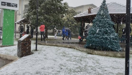 Neve cria cenário europeu e bloqueia estrada na Serra do Rio do Rastro, em SC; veja vídeos