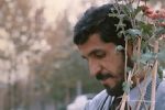 Foto ilustrativa de la nota titulada: Os 10 melhores filmes de todos os tempos, segundo os maiores diretores do cinema mundial