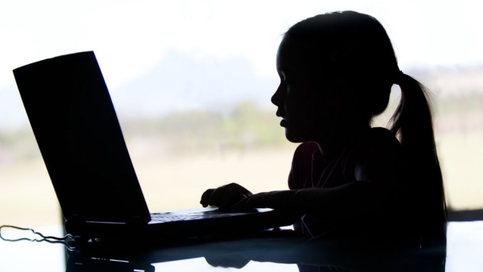 Reino Unido e Brasil, por exemplo, têm estudos que apontam o quanto a infância e a adolescência são vulneráveis a diversos crimes na internet, inclusive pedofilia