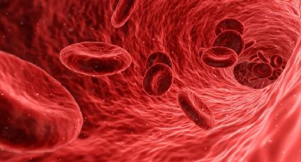 Veja como funciona o sangue artificial testado em humanos pela primeira vez