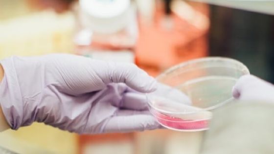 Cientistas de Harvard descobrem relação entre falha genética e tipos de câncer