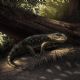 Saído diretamente do universo de Tolkien, lagarto monstruoso é encontrado em museu