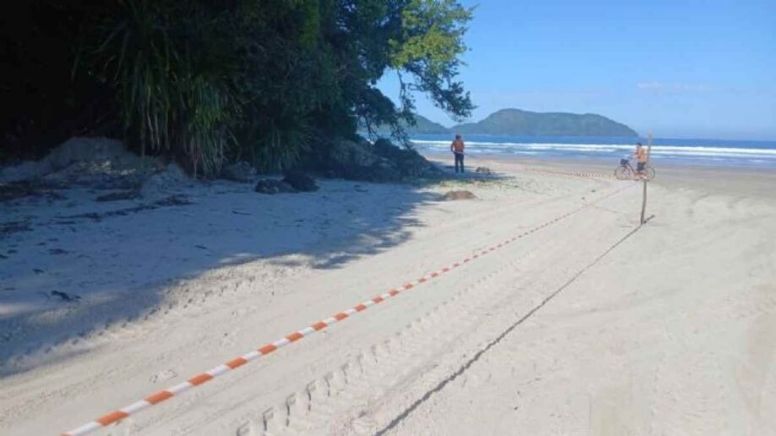 Praia do litoral paulista é interditada após “chuva” de pedras gigantes; entenda