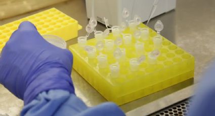 Nova descoberta da ciência avança para cura do HIV com resultado promissor