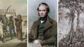 Foto ilustrativa de la nota titulada: Charles Darwin no Brasil: o que fascinou e horrorizou o cientista em viagem ao país