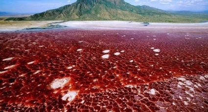 Águas de 'sangue' e sal: o lago africano que corre sobre placas tectônicas
