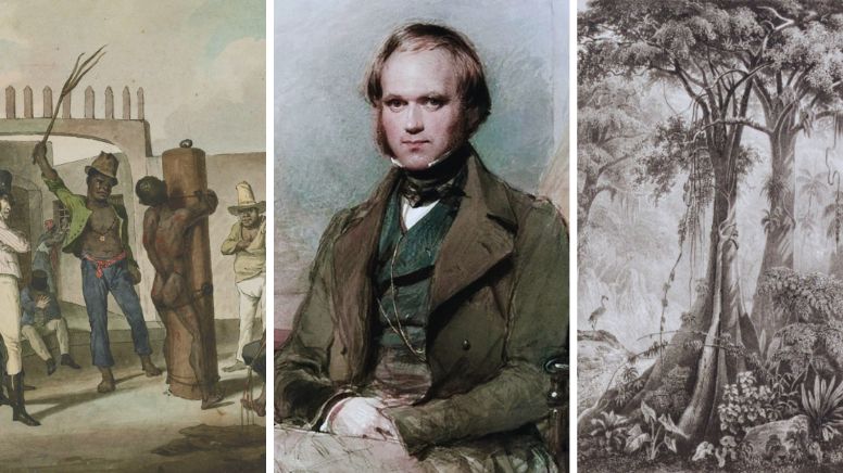 Charles Darwin no Brasil: o que fascinou e horrorizou o cientista em viagem ao país